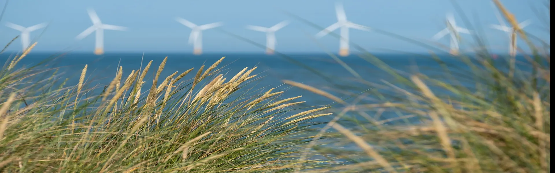 Mener la transition énergétique