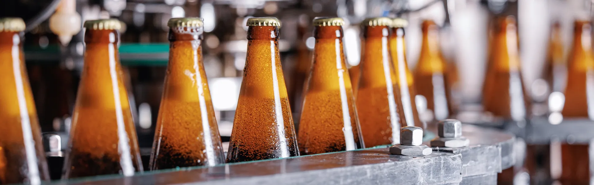 ALDD 2025 ALIGAL DRINK