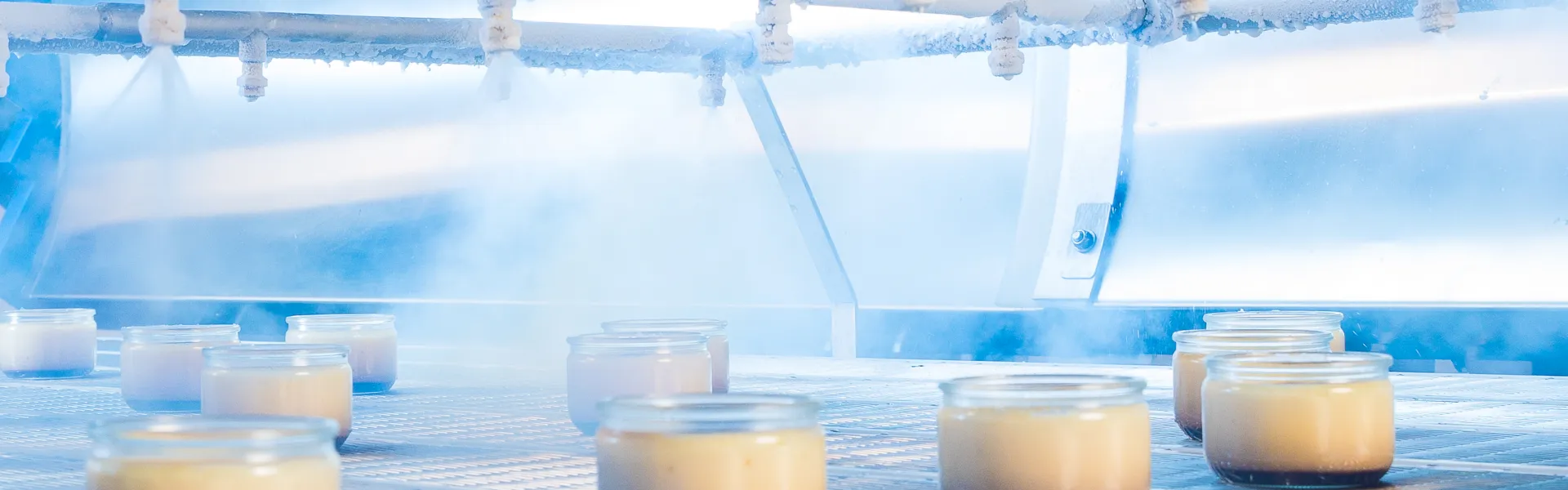 ALDD 2025 CRYOGENICS