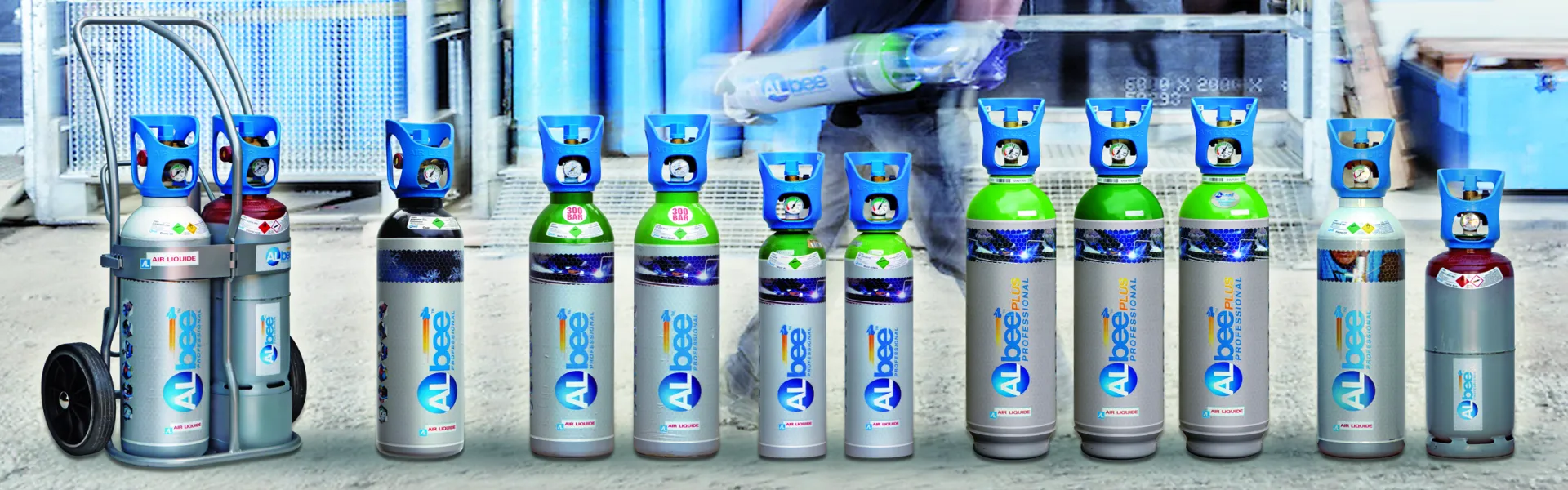 albee gamma