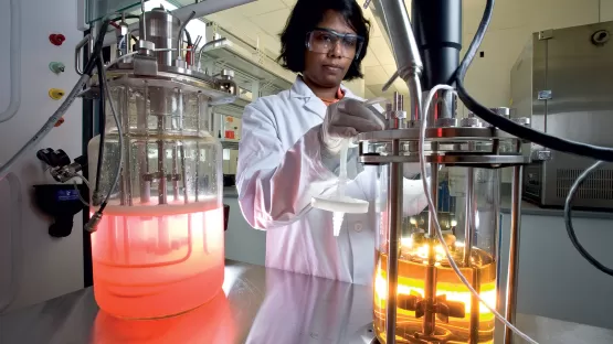 Phargalis laboratoire