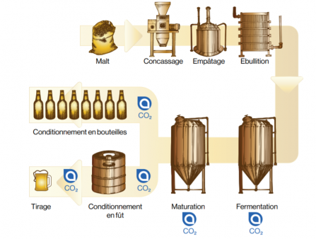 Dioxyde de Carbone pour l'élaboration de la bière en brasserie - Air Liquide