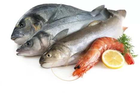 Fish