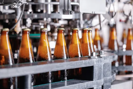 ALDD 2025 ALIGAL DRINK