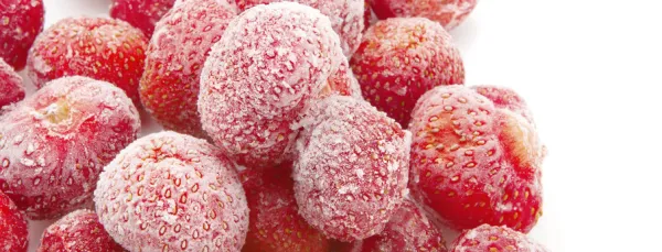 Nexelia™ pour la surgélation et la congélation