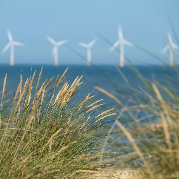 Mener la transition énergétique