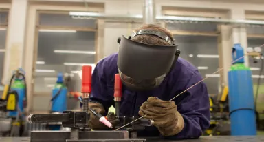 ALbee is a truly unique product