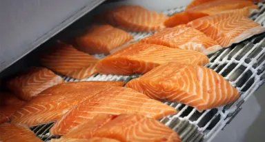 Cryocabinet-Benefits-Beny-Bruggeman